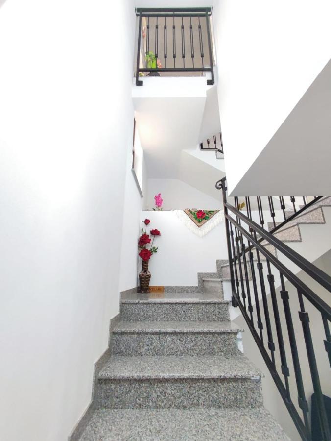 Vila Casa Hatere Мойсей Экстерьер фото